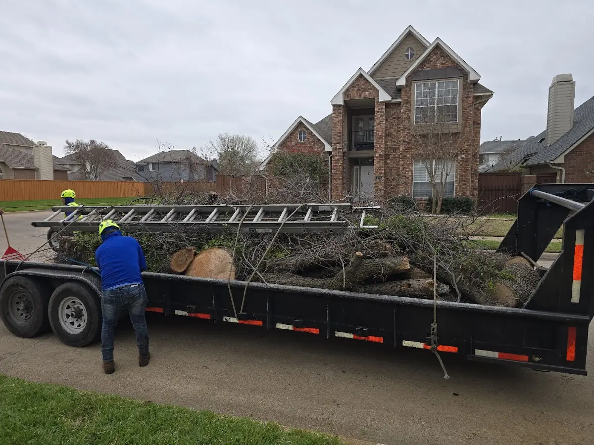 Expert Crown Reduction with proper safety equipment in Durand